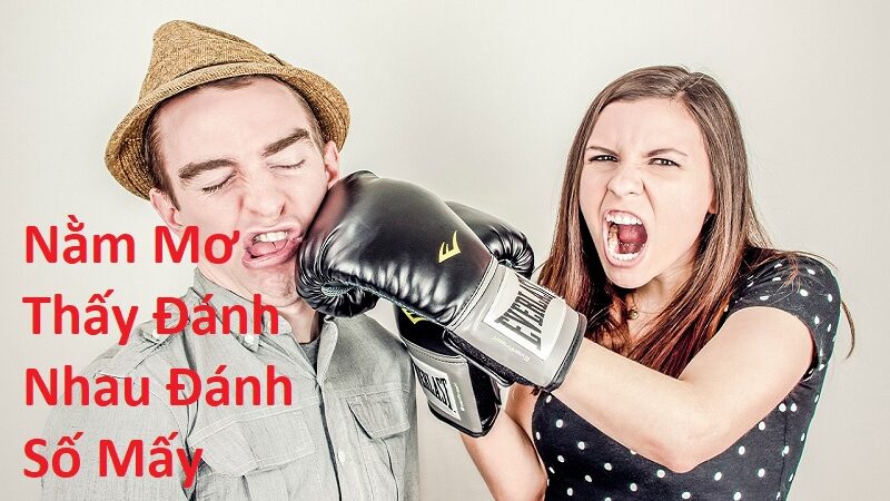 Nằm Mơ Thấy Đánh Nhau Đánh Số Mấy? Giải Mã Giấc Mơ Thấy Đánh Nhau