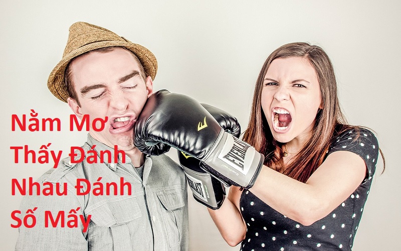 Nằm Mơ Thấy Đánh Nhau Đánh Số Mấy? Giải Mã Giấc Mơ Thấy Đánh Nhau