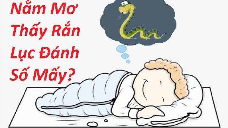 Nằm Mơ Thấy Rắn Lục Đánh Số Mấy? Giải Mã Giấc Mơ Thấy Rắn Lục