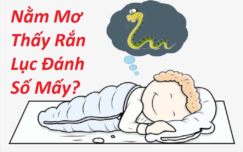 Nằm Mơ Thấy Rắn Lục Đánh Số Mấy? Giải Mã Giấc Mơ Thấy Rắn Lục