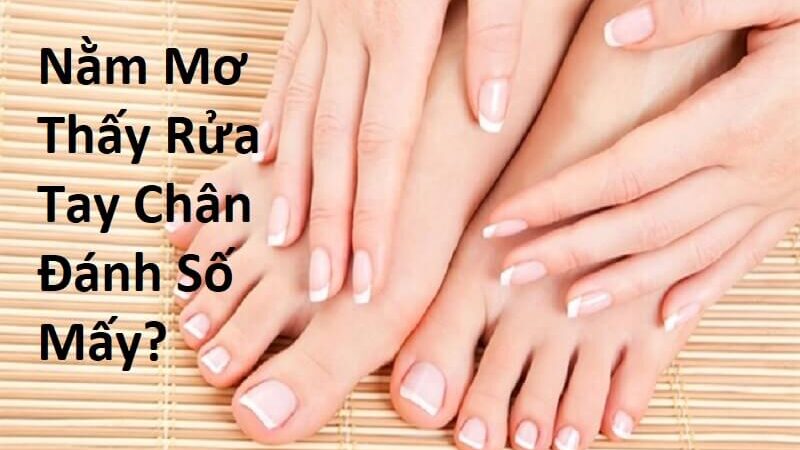 Nằm Mơ Thấy Rửa Tay Chân Đánh Số Mấy? Giải Mã Giấc Mơ Thấy Rửa Tay Chân