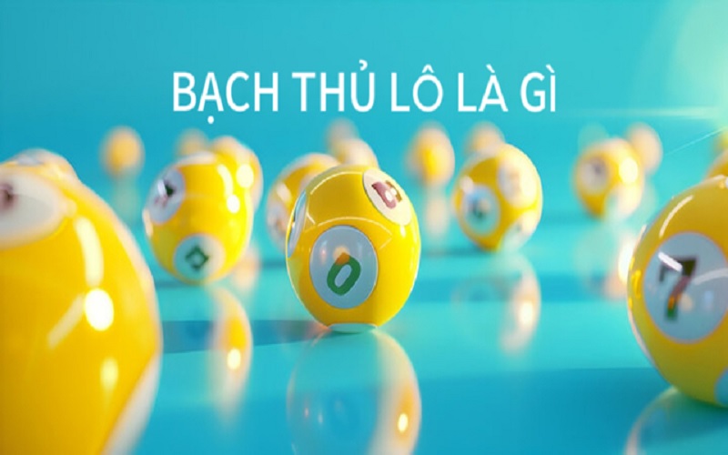 Bạch thủ lô là gì