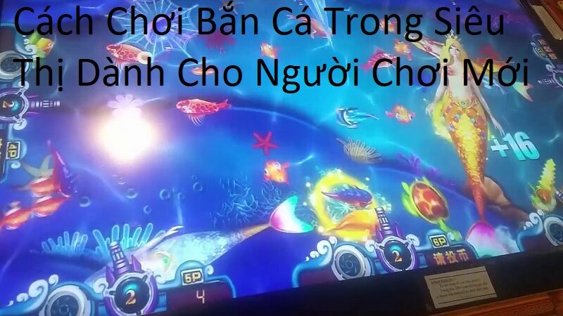 Cách Chơi Bắn Cá Trong Siêu Thị Dành Cho Người Chơi Mới