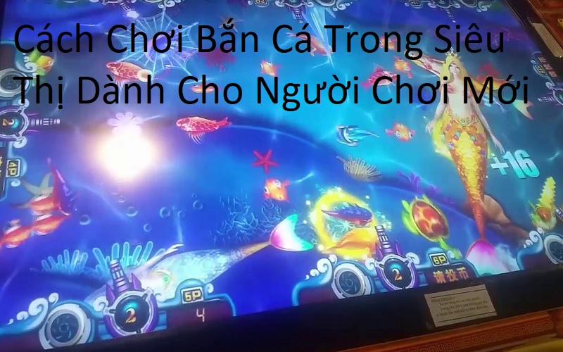 Cách Chơi Bắn Cá Trong Siêu Thị Dành Cho Người Chơi Mới