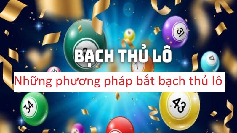 Bạch thủ lô là gì? Những phương pháp bắt bạch thủ lô chuẩn xác nhất